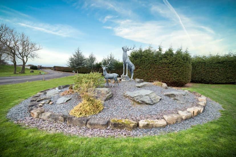Unwind@37 Lodge Felton  Exterior photo